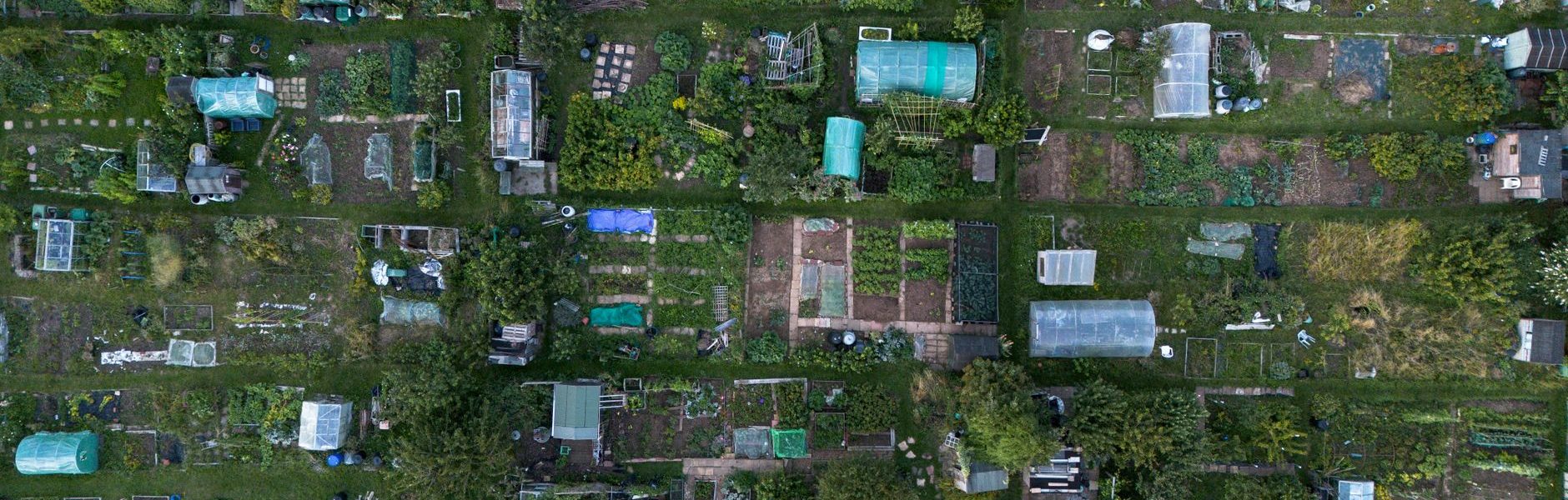 KNRUHS MBBS allotment