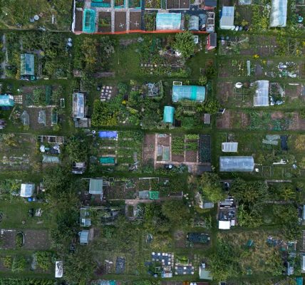 KNRUHS MBBS allotment